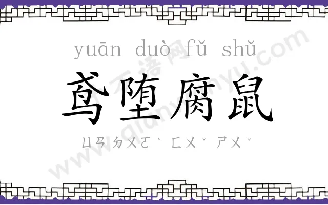 鸢堕腐鼠