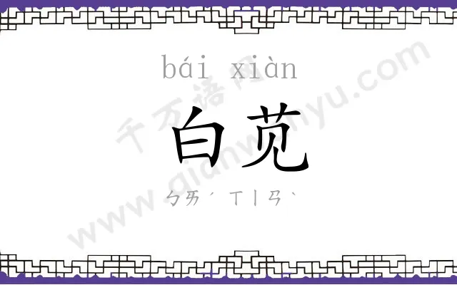 白苋