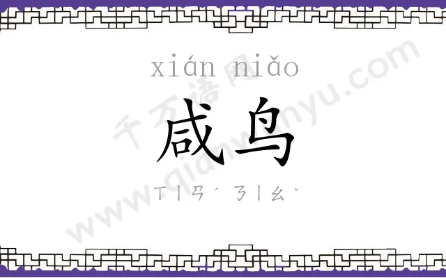 咸鸟