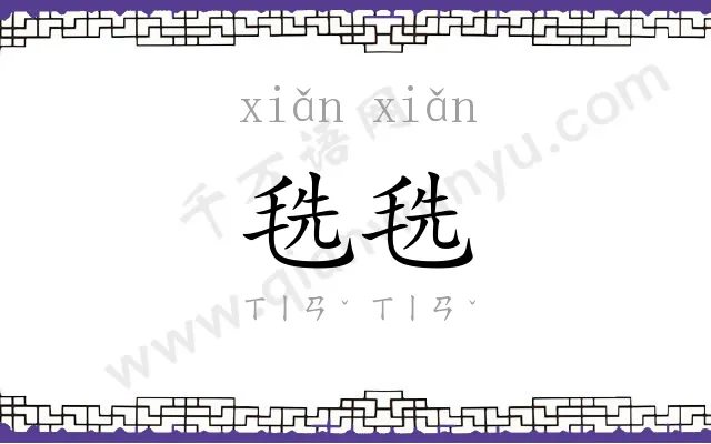 毨毨