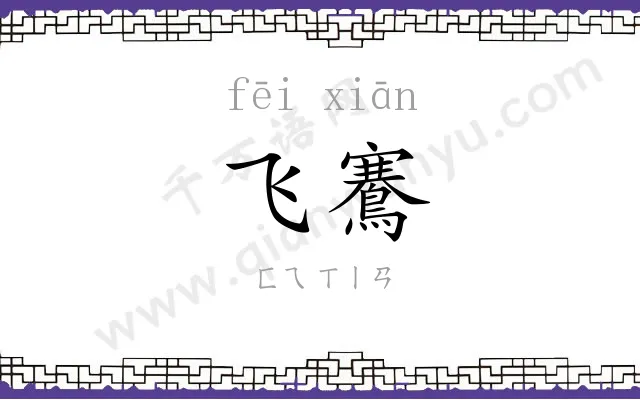 飞鶱