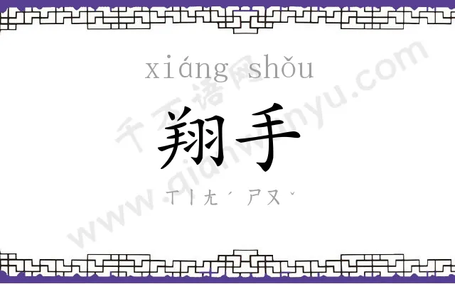 翔手