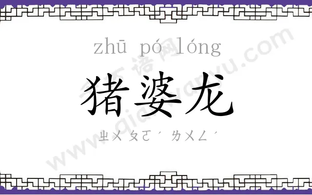 猪婆龙