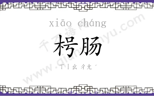 枵肠