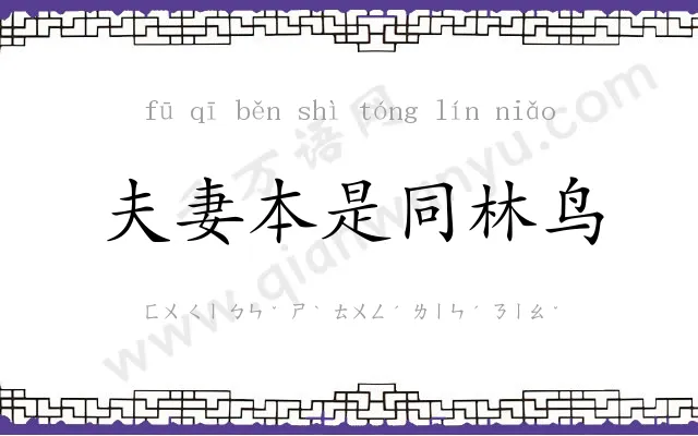 夫妻本是同林鸟