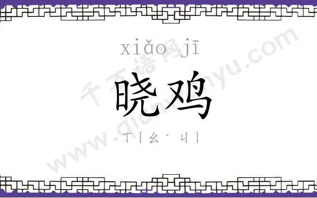 晓鸡