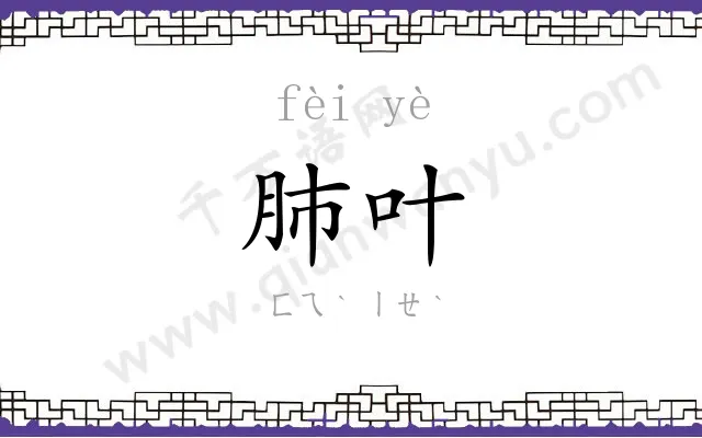 肺叶