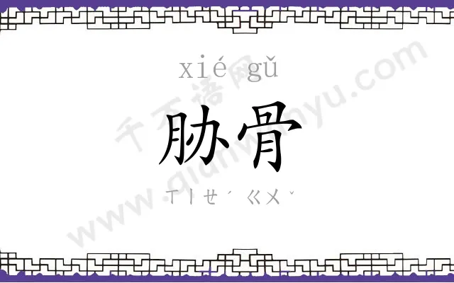 胁骨