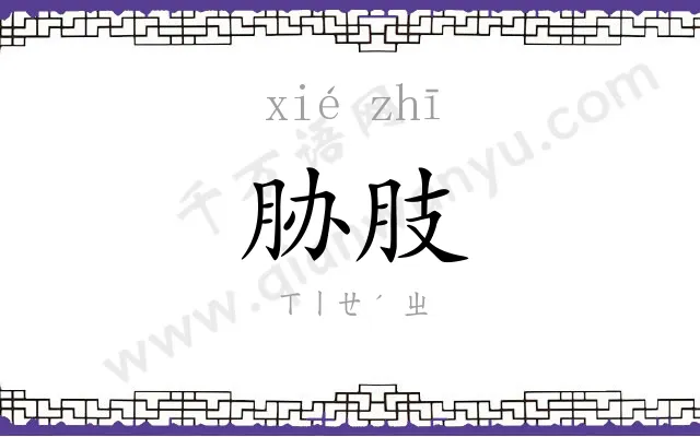 胁肢
