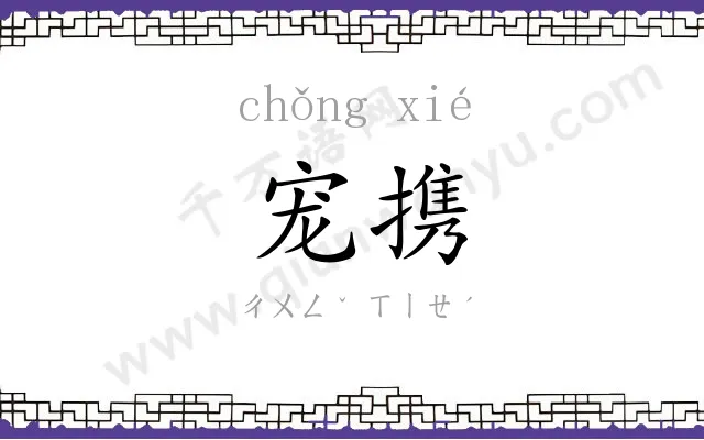 宠携