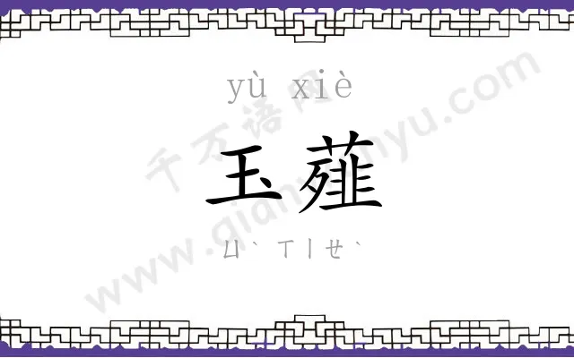 玉薤