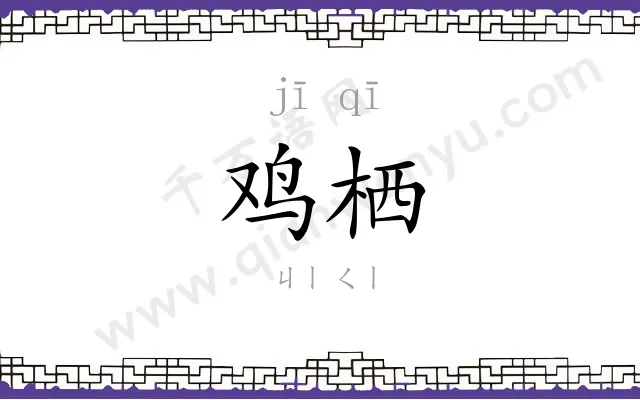 鸡栖