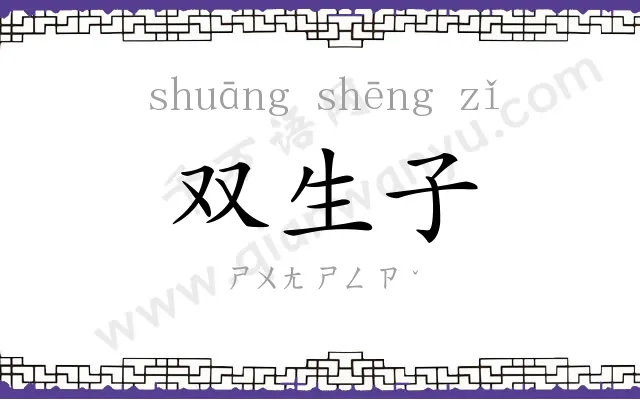 双生子