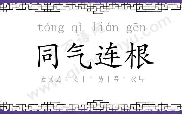 同气连根