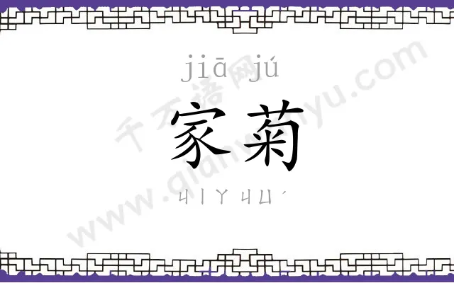 家菊