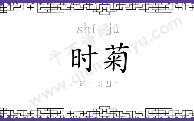 时菊