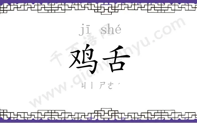 鸡舌