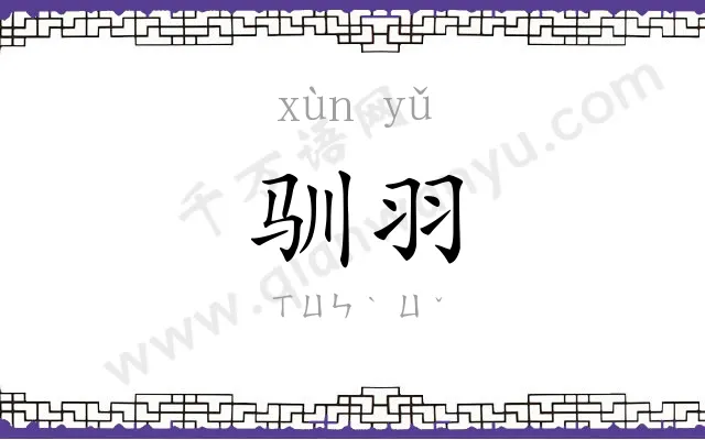 驯羽