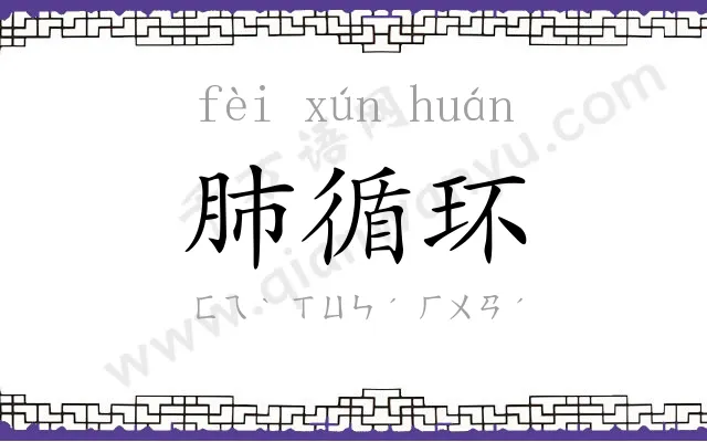 肺循环