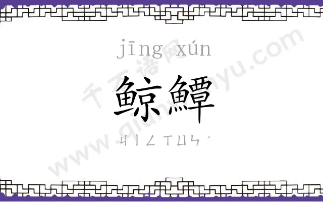鲸鱏