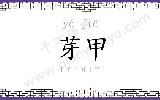 芽甲