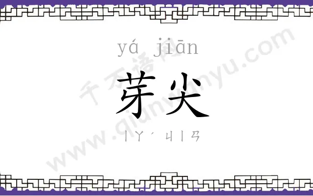 芽尖
