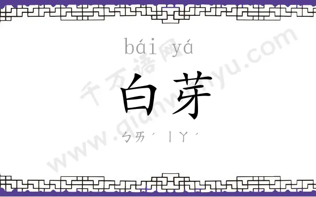 白芽