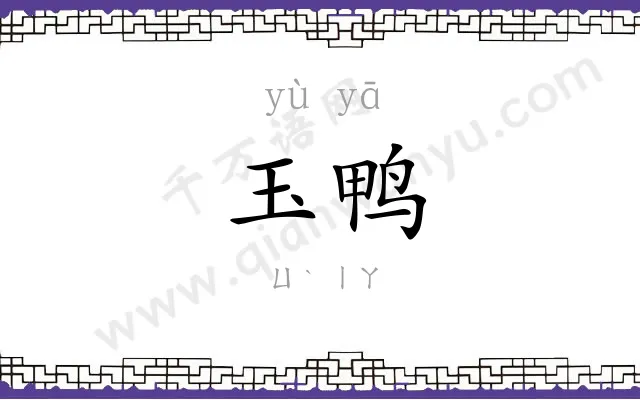 玉鸭
