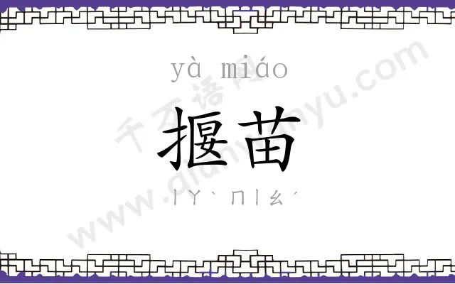 揠苗
