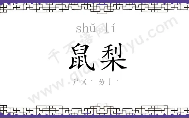 鼠梨