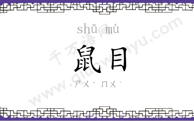 鼠目