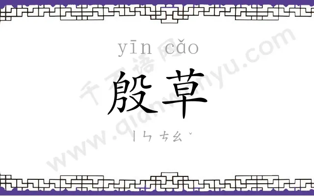 殷草
