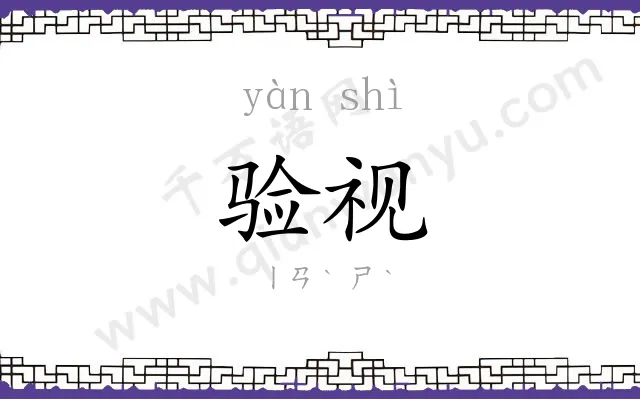 验视