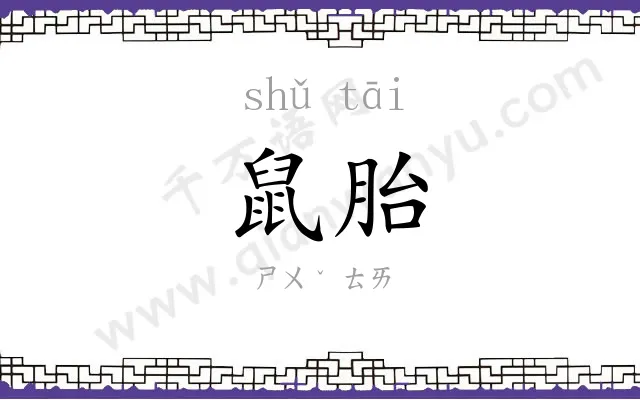 鼠胎