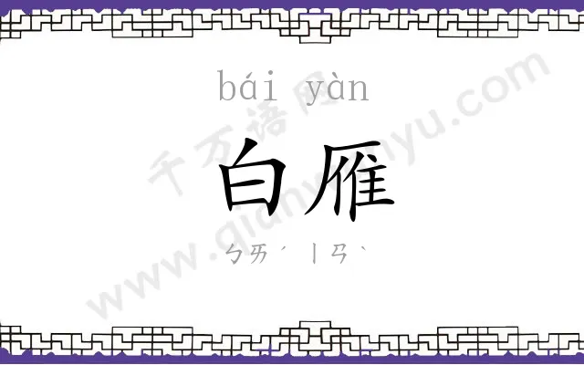 白雁