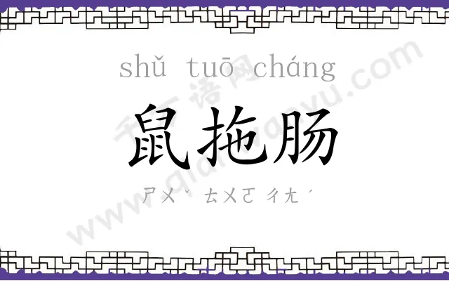 鼠拖肠