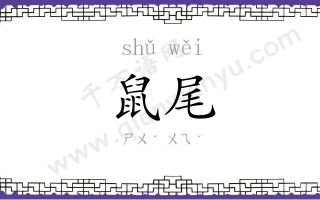 鼠尾