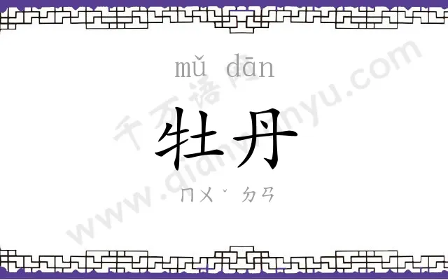 牡丹
