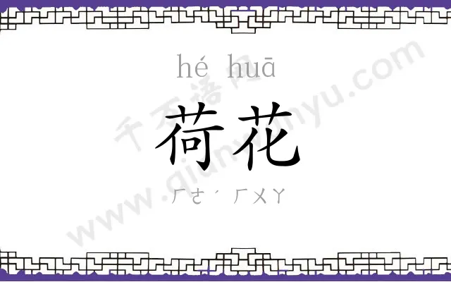 荷花