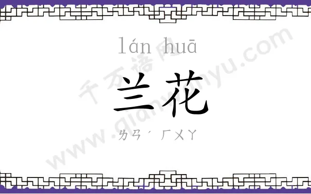兰花