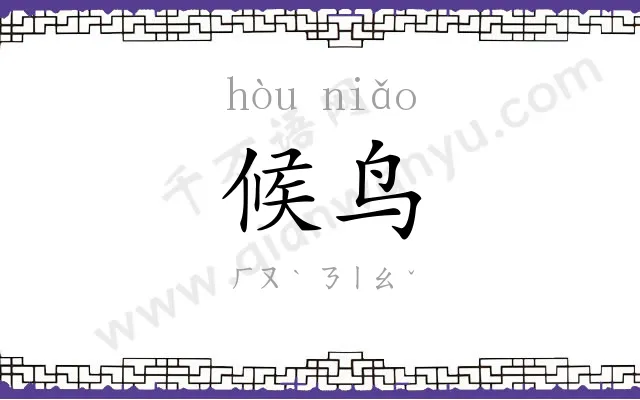 候鸟