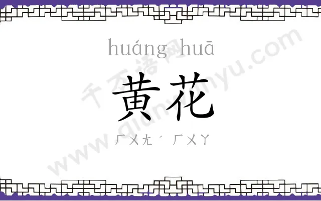 黄花