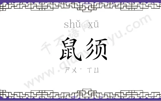 鼠须