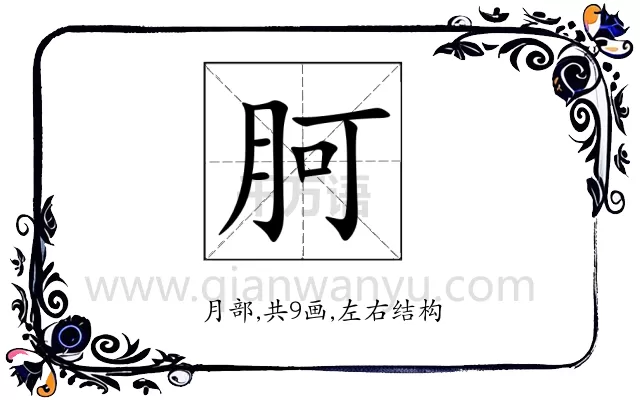 胢