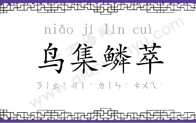 鸟集鳞萃