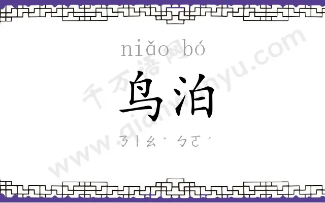 鸟泊