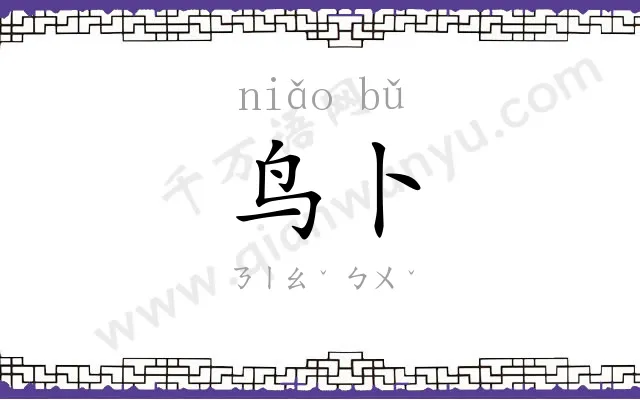 鸟卜