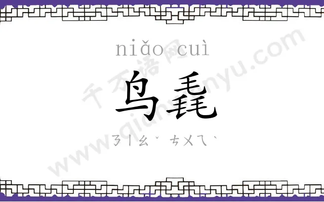 鸟毳