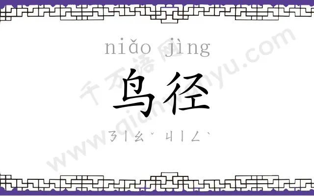 鸟径
