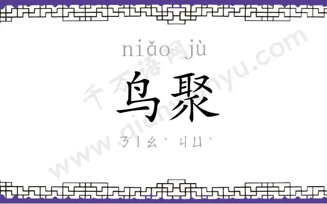鸟聚